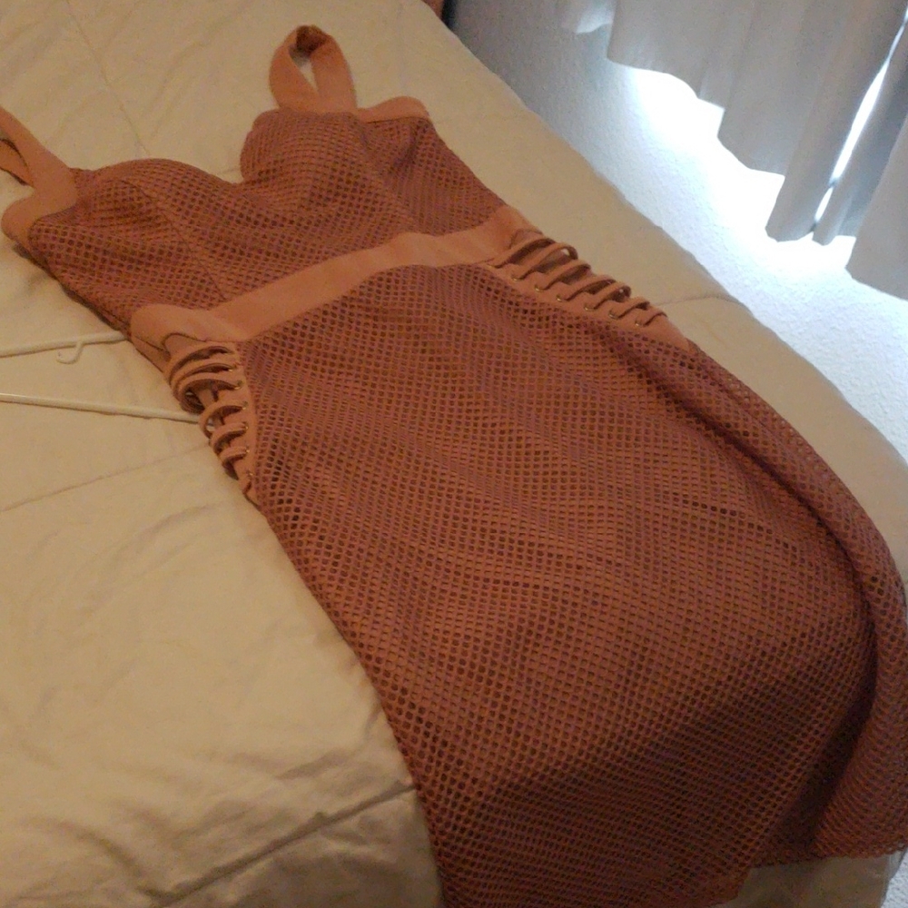 Entry Rose Taylor Dress